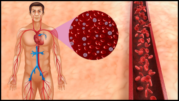 Iron Rich Foods To Increase Low Haemoglobin Levels In Tamil