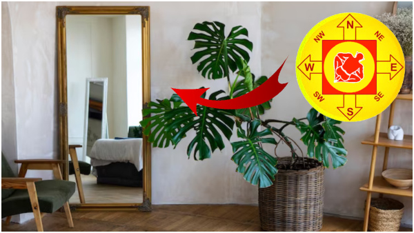 Vastu Tips: Keep These Things On North Direction At Home For Financial Abundance In Tamil