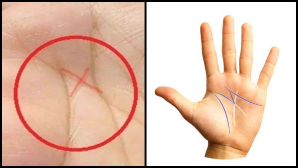 Palmistry: What Is the Meaning Of X, M And V Signs In Hand In Tamil