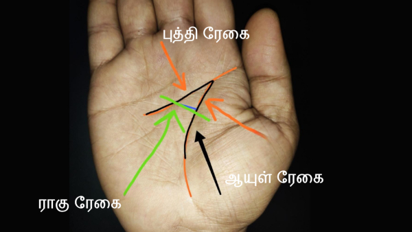 Palmistry: Do You Know Having These Signs On Palm Gives You Money Problems In Tamil