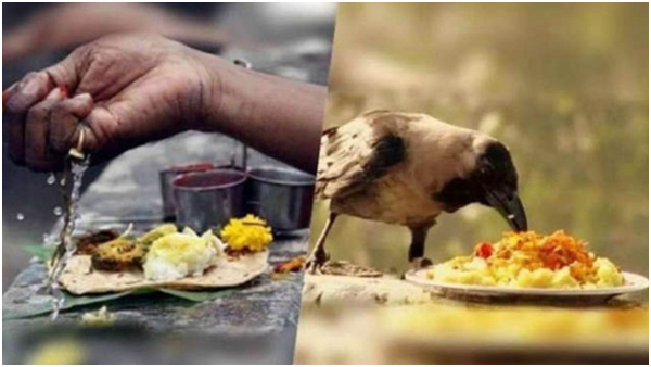 Pitru Paksha 2023: History, Significance And Its Facts In Tamil 