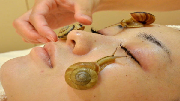 benefits of using snail mucin for skin in tamil