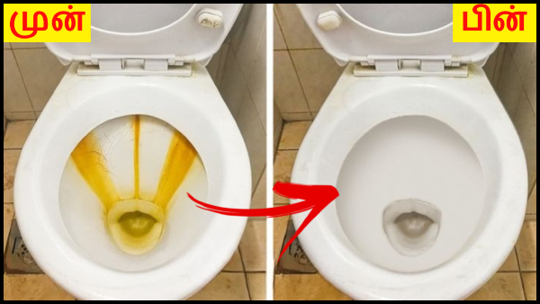 Toilet Cleaning Tips: How To Clean Different Stains On Toilet Bowl In Tamil