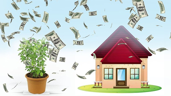 Vastu Tips: Where to Keep Tulsi Plant at Home in Tamil