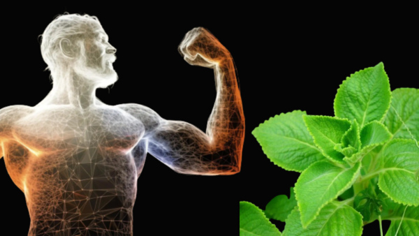 Top 6 Health Benefits Of Chewing Ajwain Leaves In Tamil