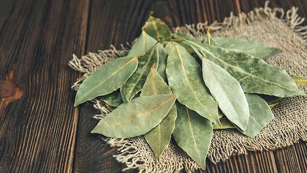 Benefits of Bay Leaves Other Than Cooking in Tamil