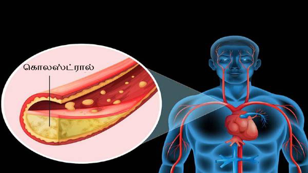 Drinks To Have On An Empty Stomach To Reduce Bad Cholesterol In Tamil 