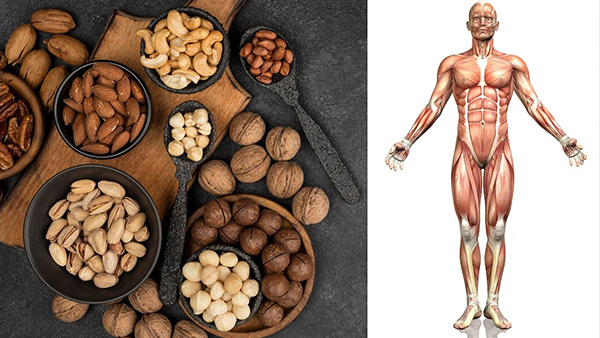 Healthy Nuts And Dry Fruits That Are Must For Winter Diet In Tamil 