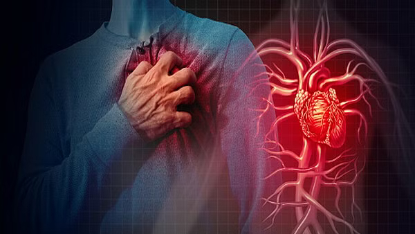 Study Finds A New AI Tool Can Predict Heart Attack Risk After 10 years 