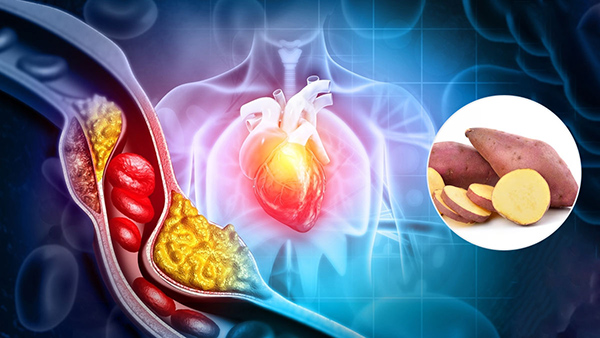 How Can Improve Heart Health By Eating Sweet Potatoes In Tamil 
