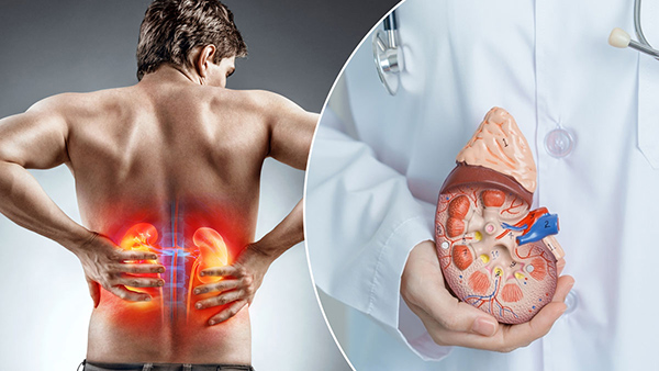 Warning Signs Of Kidney Infection In Tamil 