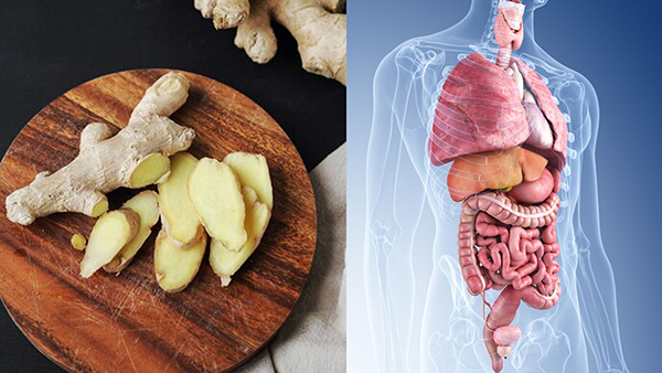 Risks of Eating Too Much Ginger In Tamil 