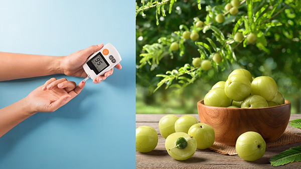 How to use amla for diabetes in tamil 