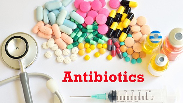 Things Should Know About Antibiotics That You Take in Tamil