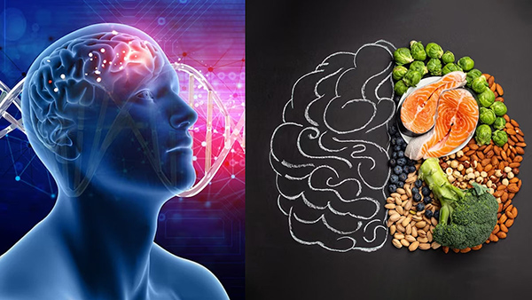  superfoods that help sharpen the memory in tamil 
