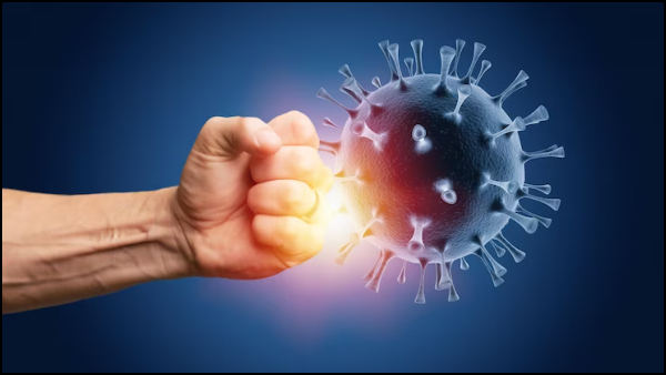 Covid JN.1 Variant On The Rise In India: Drink These 4 Herbal Kashayam To Boost Immunity In Tamil