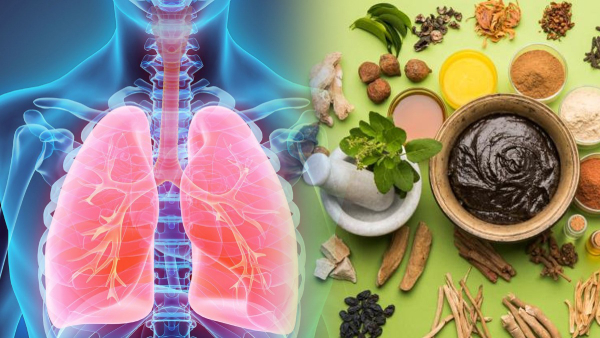 Ayurvedic Herbs to Detoxify Your Body Naturally in Tamil