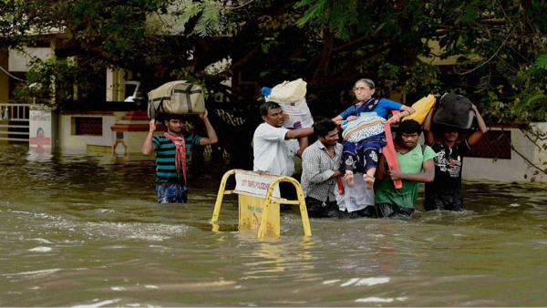Cyclone Michaung: What To Do After Flood Damage In Your House In Tamil