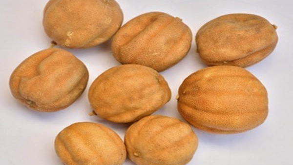 How to Preserve the Freshness of Lemons for a Long Time in Tamil