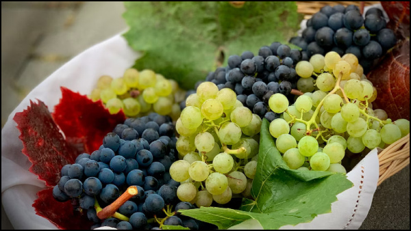 New Year 2024: Top 5 Foods To Attract Good Luck And Prosperity In The Coming Year In Tamil