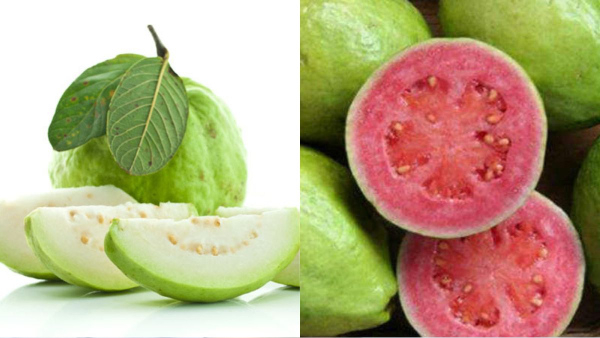 Pink guava: health benefits of this diabetes-friendly fruit in tamil Pink guava: health benefits of this diabetes-friendly fruit in tamil