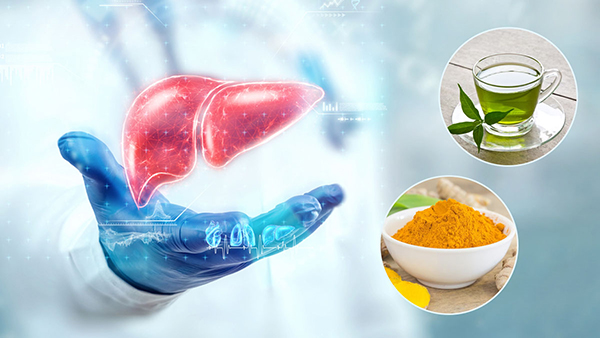 Top 8 foods that are good for maintaining liver health in tamil 
