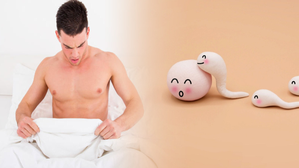 foods you should include in your male fertility diet in tamil foods you should include in your male fertility diet in tamil