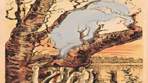 Optical Illusion: Can You Find The Fox Hidden In This Picture