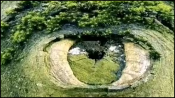 Optical Illusion: What Do You See First In This Picture Reveals Your Deepest Insecurity