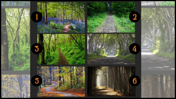 Personality Test: The Path You Choose In The Forest Reveals Your Personality
