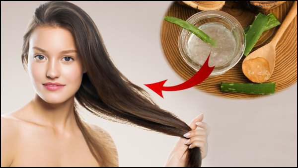 Hair Care Tips: Aloe Vera Hair Masks That Boost Hair Growth In Tamil
