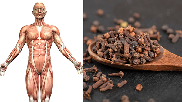  benefits of including cloves in your winter diet in tamil 