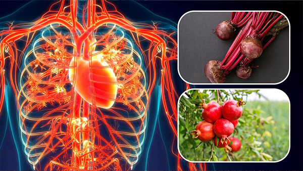 Foods That Support Healthy Blood Circulation in Tamil