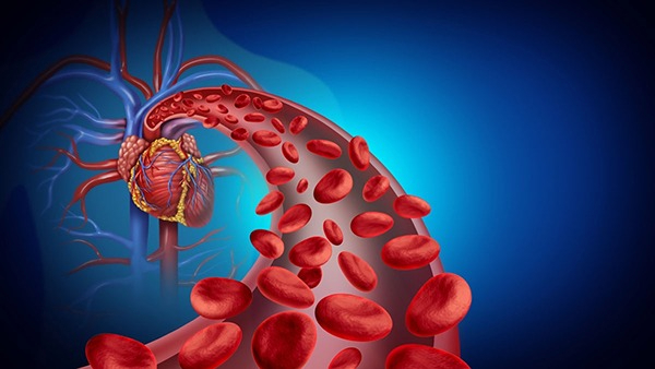 How Our Body Generates Fresh Blood and Replaces the Older One in Tamil