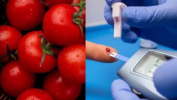 Eating raw tomatoes can help control blood sugar levels in tamil 