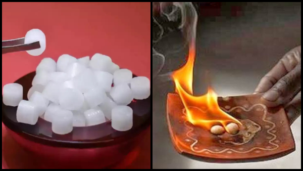 Vastu Tips: How To Get Rid Of Vastu Dosh At Home By Using Camphor In Tamil