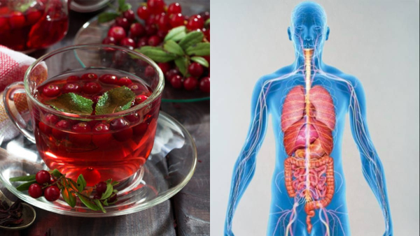 health benefits of drinking cranberry tea in tamil 