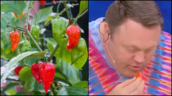 Man Breaks Record By Eating 10 Bhut Jolokia Chillies In Seconds