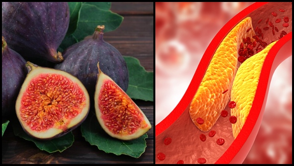 Fig Leaves For Diabetes And Triglycerides In Tamil