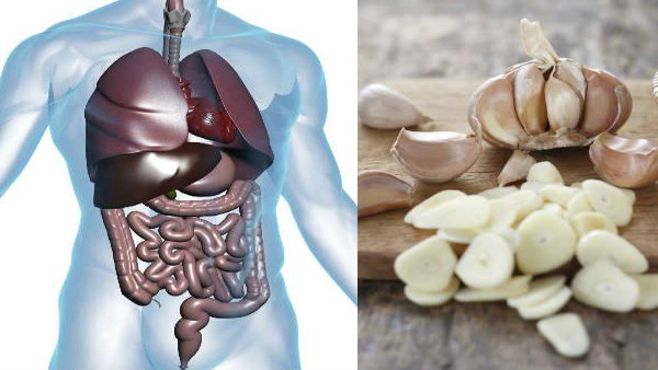 benefits of eating garlic in winter in tamil benefits of eating garlic in winter in tamil