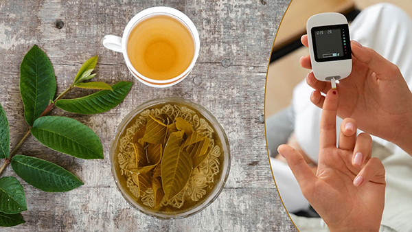 How Does Guava And Its Leaves Control Blood Sugar Level in tamil 