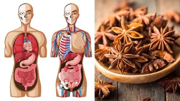 medical benefits and side effects of star anise in tamil 