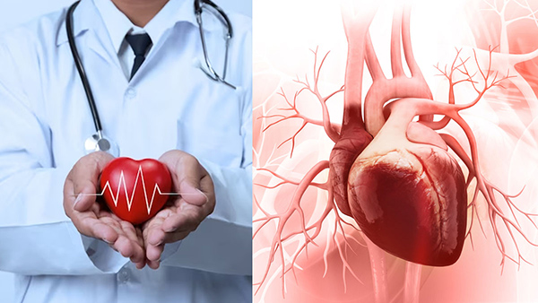 ​Tips and tricks to maintain heart health in winter​ in tamil 