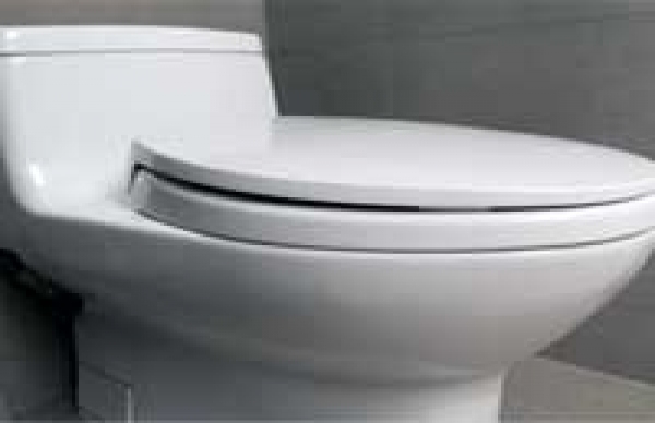 Why you should close the toilet lid before flushing? What Expert Says