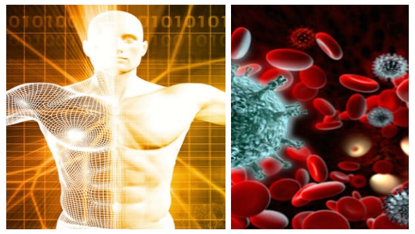 foods that are a must-have for boosting immunity in tamil