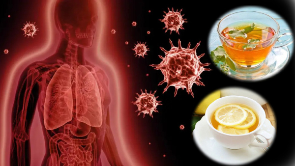 best tea types to sip on for better digestion and immunity in tamil 