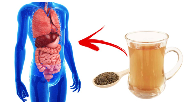 Can drinking Cumin water after meals help lose weight in tamil 