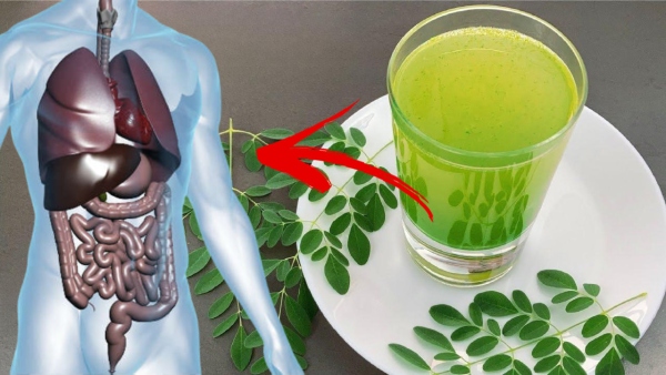 Drumstick Leaves Water: Benefits Of Drinking Murungai Keerai Water On An Empty Stomach In Tamil