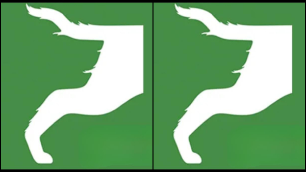 Optical Illusion: What You See In First 5 Seconds Reveals You Are Strong Willed Or Easy Going