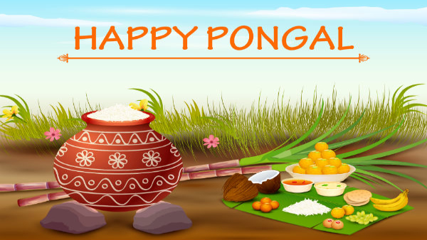 Pongal 2024: Do’s And Don’t To Keep In Mind On This Auspicious Day in Tamil